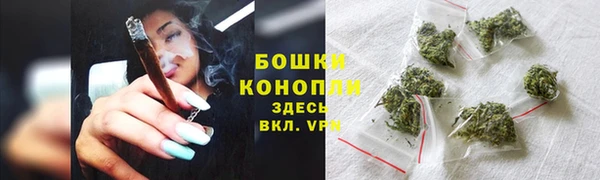прущие грибы Арсеньев