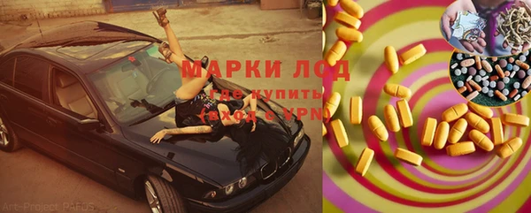 прущие грибы Арсеньев
