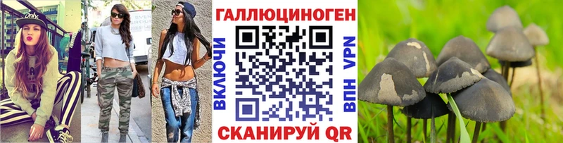 наркотики  Сосновый Бор  Псилоцибиновые грибы Psilocybine cubensis 